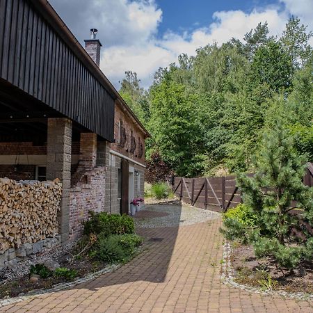 Вилла Na Uboczu Грыфув-Слёнский Экстерьер фото